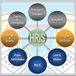 Human Resources Information System Software